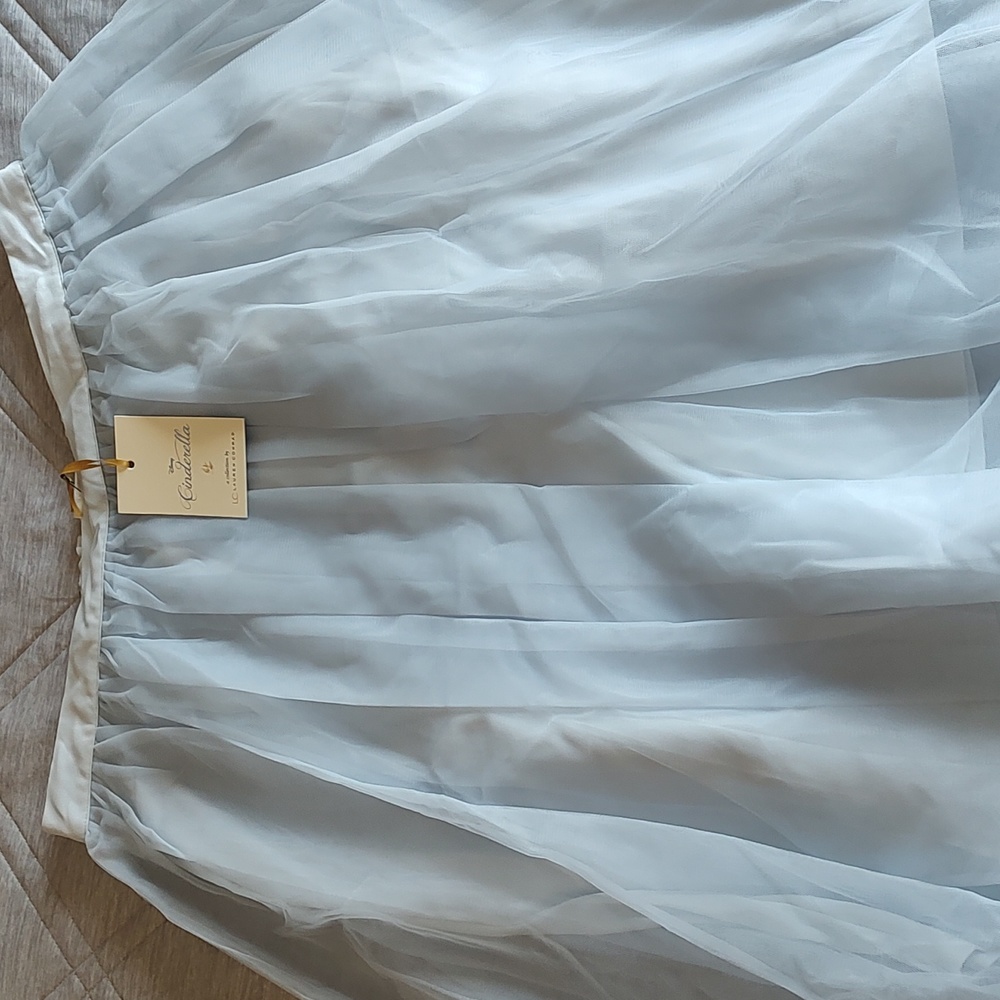 Light blue tule skirt